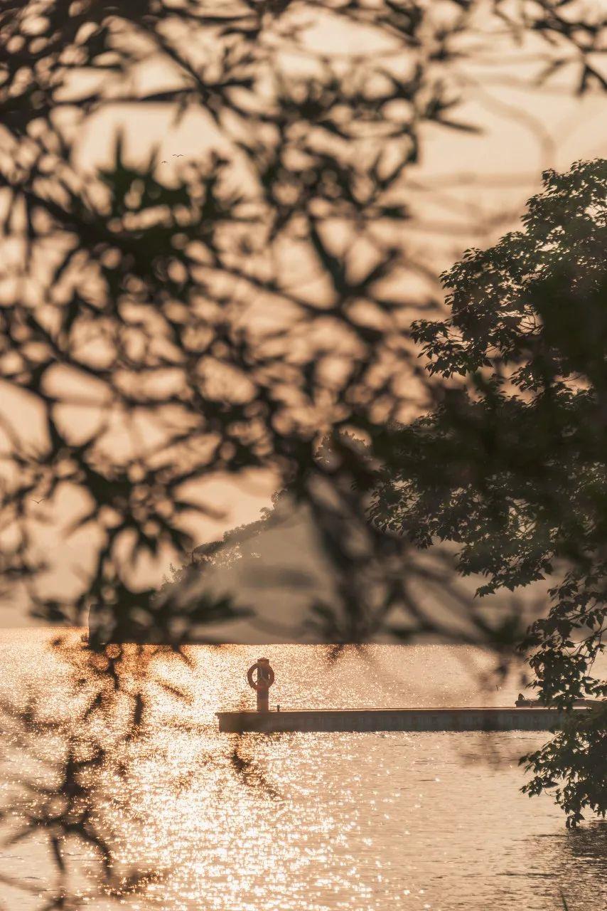 书藏古今港通天下,书藏古今港通天下央视