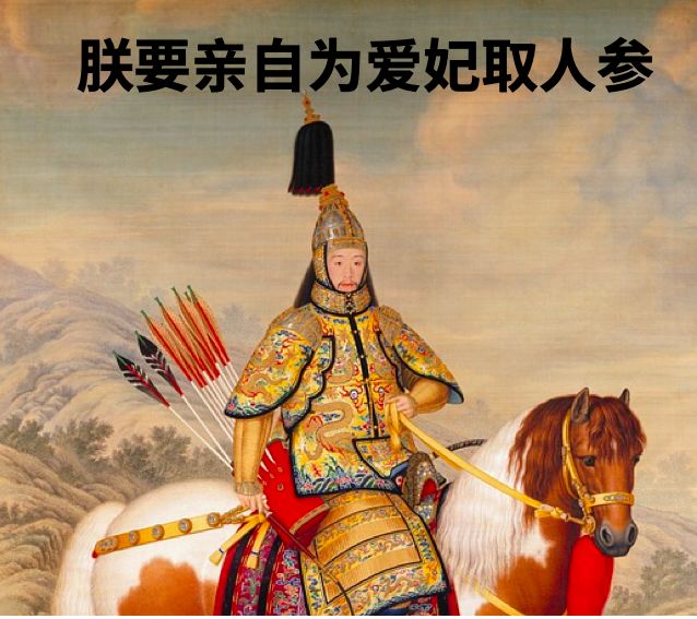 卖高价人参违法吗,现在哪里买人参最好