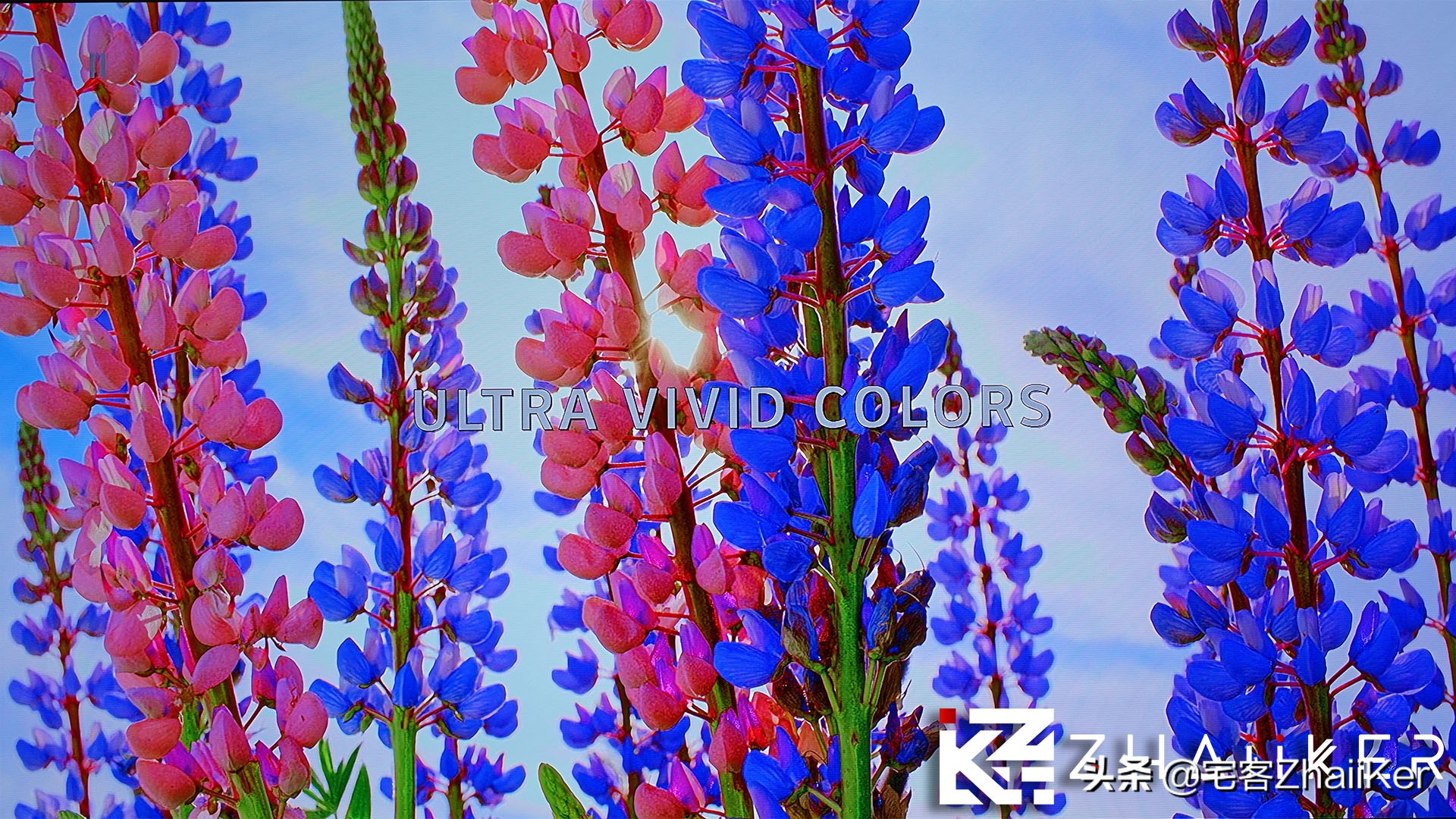 真力 G 系列 x 安桥 TX-RZ730 搭建 5.1.2 家庭影院体验