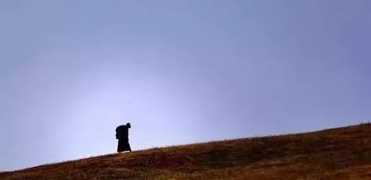 路要自己走原唱,路需要自己走的图片