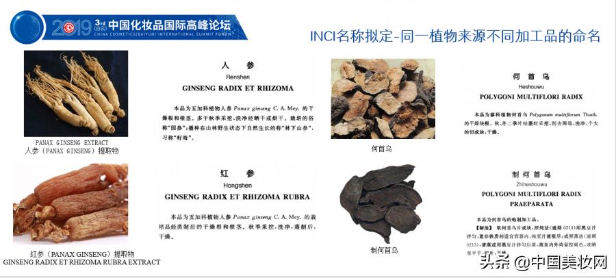 2019iPDM展|王有为:化妆品植物类原料命名的科学性与规范性
