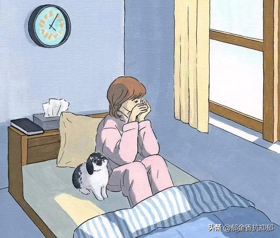 一位精神分裂症患者的日记,双相情感障碍症患者的日记