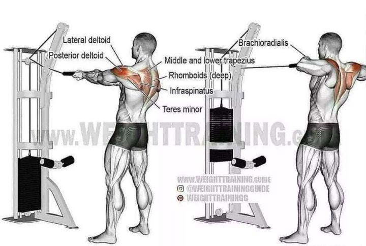 wildfieldhealth怎么样,wildfieldhealth天天喝酸奶好吗