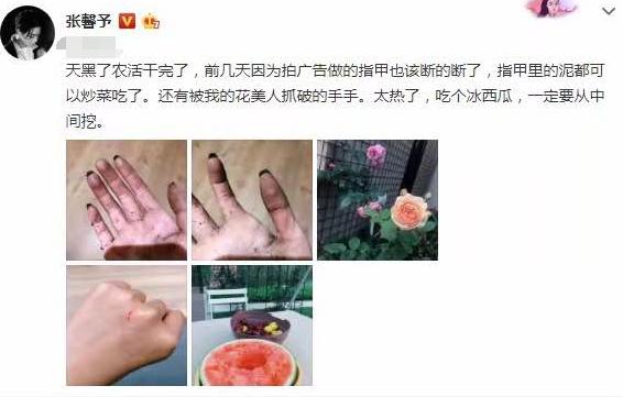 张馨予敷面膜徒手摘花，不惧被吐槽作秀，分享生活感悟满满正能量