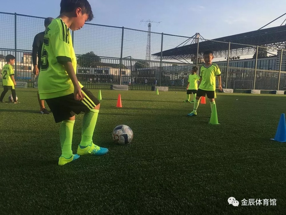 閲戣景浣撹偛鐩存挱鍥炴斁,閲戣景浣撹偛鐩存挱