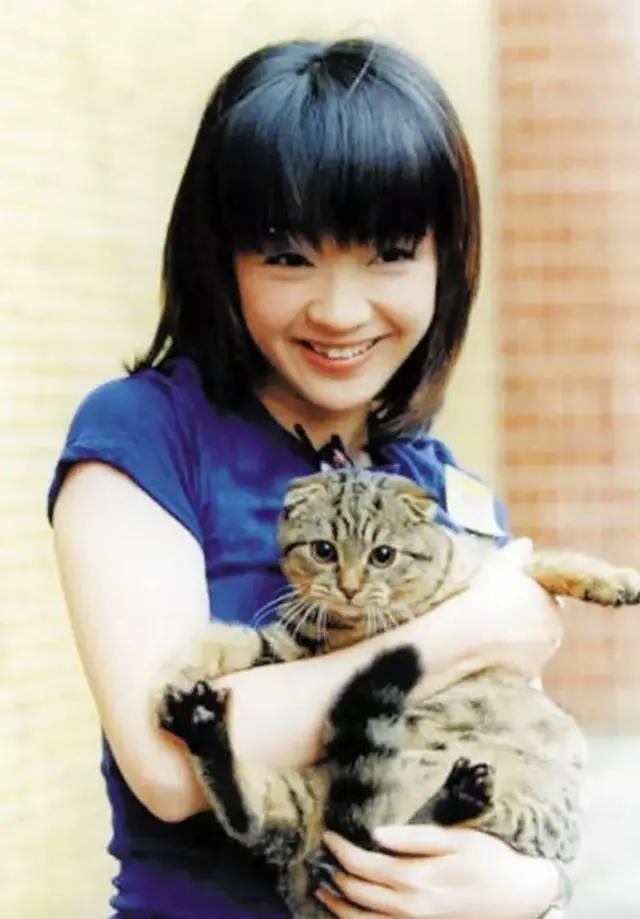 陈慧娴未婚吗,陈慧娴为什么终身未婚