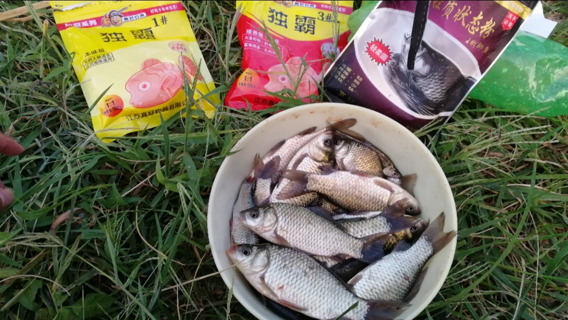 天凉了野钓该怎么钓,天热钓鲫鱼的正确方法