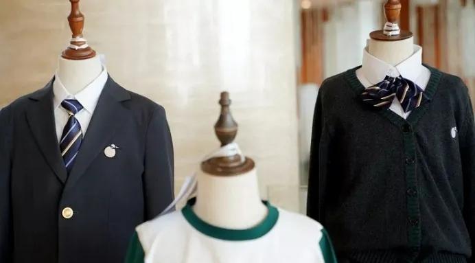 哈密尔顿麓湖幼升小,哈密尔顿麓湖小学教材