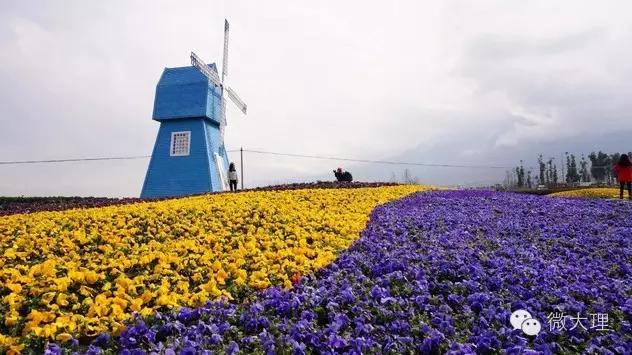 在大理定居修行,在大理定居攻略
