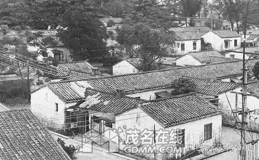 芳华60载|碧桂园与茂名共成长