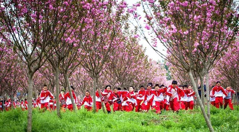 全球启动！仁寿城市发展再升级，牛牛牛！