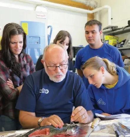 加拿大本科留学项目，雅思6.5，会考均分75以上