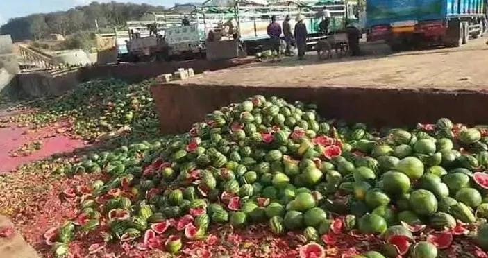 疫情之下中缅西瓜交易市场,缅甸西瓜最新消息