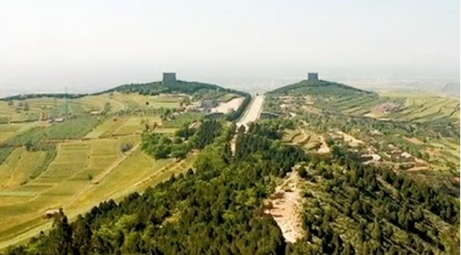 金丝楠木古墓发掘完整视频,古墓出土的金丝楠木