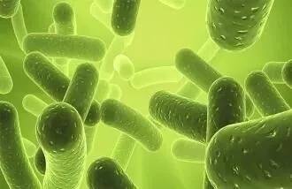 简单易懂的益生菌知识大全,微生物细菌小知识