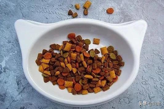 猫食碗每天都要清洗吗,猫咪碗盆脏了用什么洗