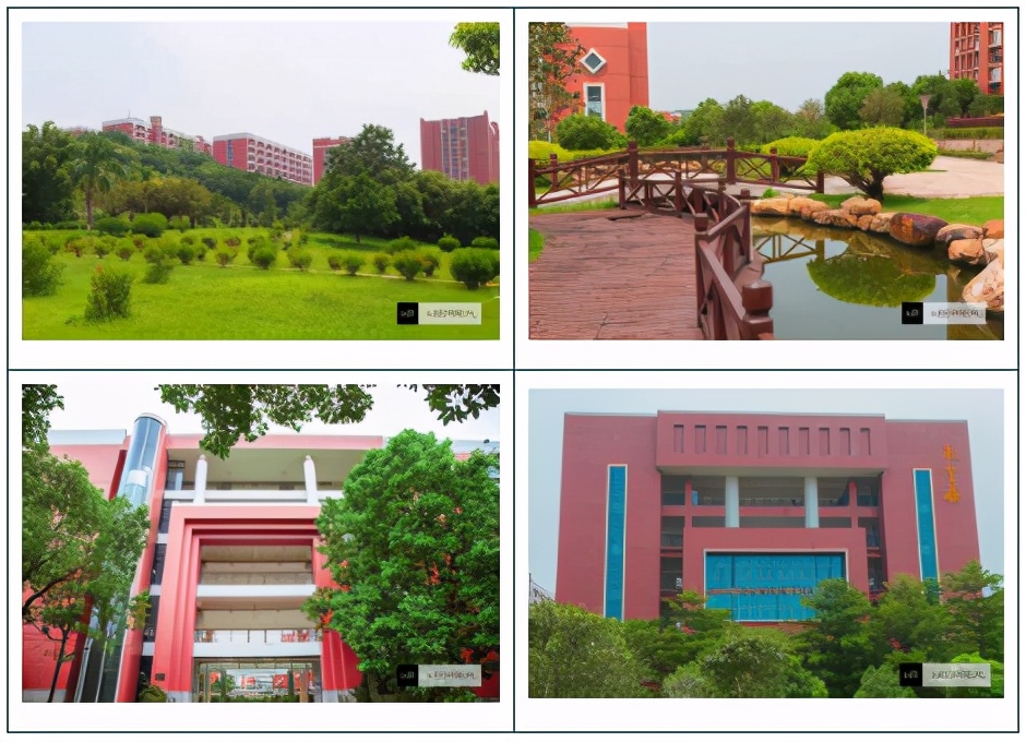 广州华商职业学院专科三年制,广州华商职业学院招不招夏季高考