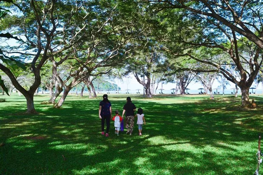 马来西亚适合游玩的岛,马来西亚阳光大海