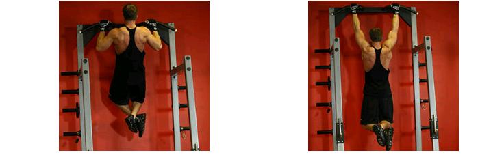 如何训练背阔肌使背部看起来宽大,背阔肌为主的背部训练