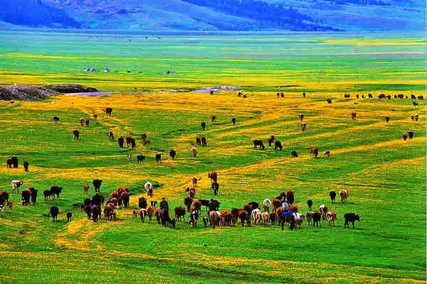 中国各地特产酒一览表,安徽各地特产一览表