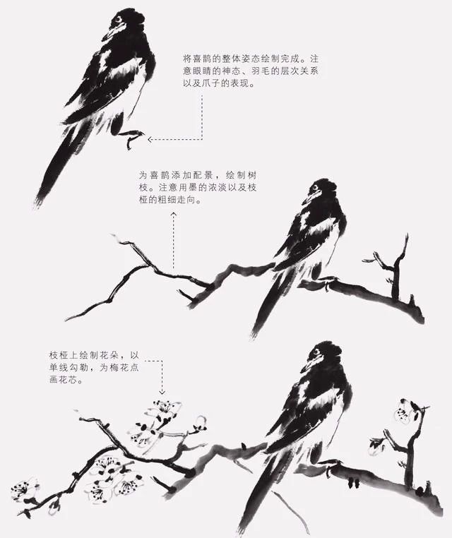 国画怎么把鸟画的活灵活现,如何画鸟要好看