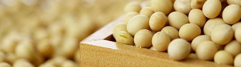 吴洪涛说豆粕淡旺季,期货豆粕吴洪涛