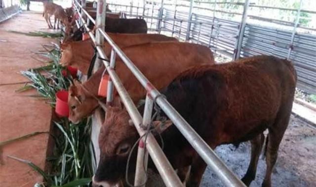 农村十大风俗全集,十大最有趣农村风俗