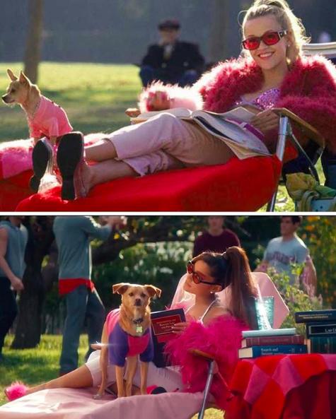 美国人最爱的金发女郎,美国人最爱的中国女星