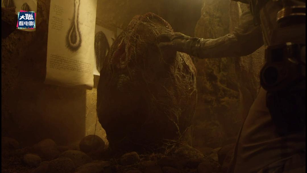 异形契约几分钟看完,异形契约看完后在看什么