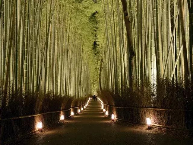 日本美景8k超高清,日本自然人文美景