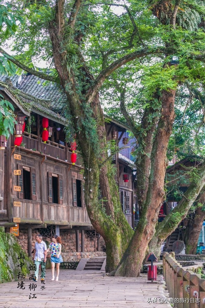 成都附近哪里可以找到美食,成都好吃的隐藏小店