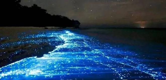 怀着忐忑心态来的铂爵旅拍到底怎么样?