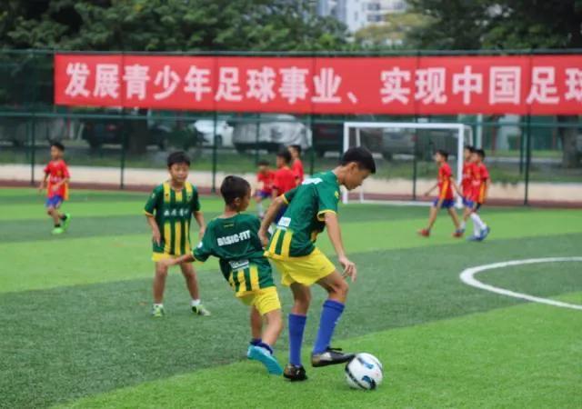 足球985211,985211中国