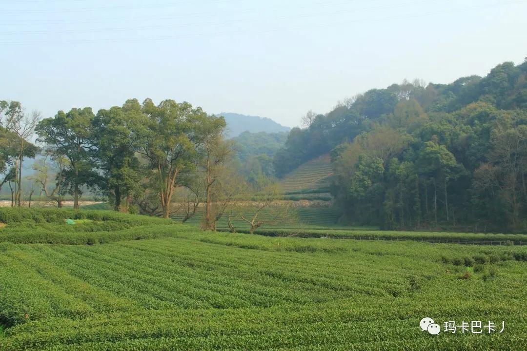杭州西湖十景纪录片,杭州西湖十景