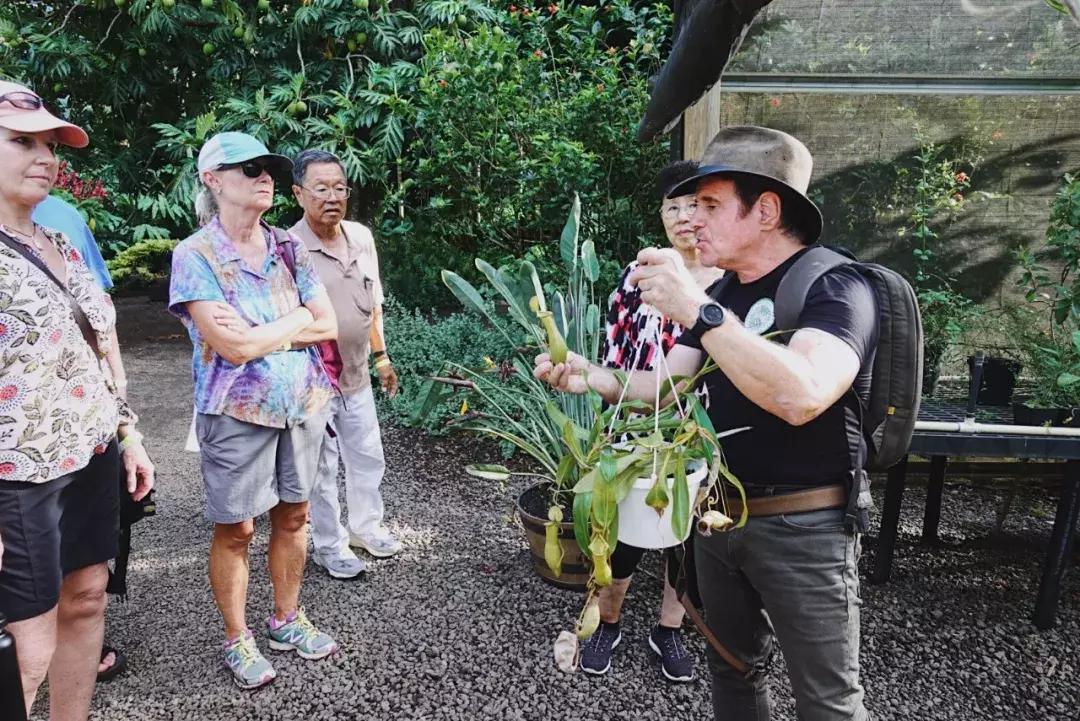 在吸引村上春树买房养老的海岛呆3天，马代帕劳在我心里降到第二