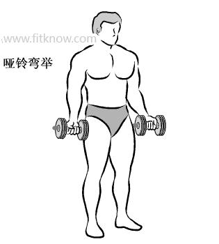 哑铃锻炼胸肌的最佳动作图解,哑铃锻炼手臂图解