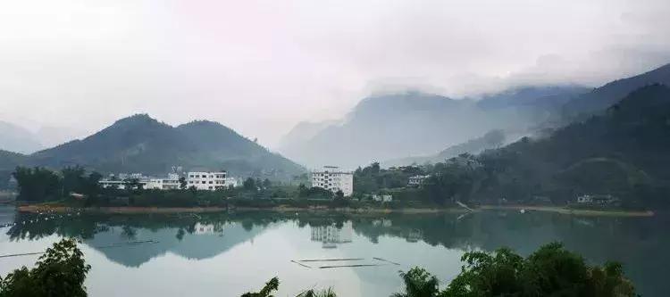 探秘广西巴马长寿之旅,广西巴马长寿探秘之旅