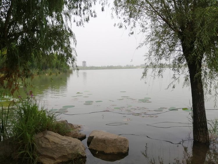 临颍县千亩湖,临颍千亩湖示意图