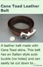 澳洲狗子吸毒,澳大利亚流浪狗