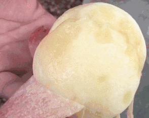 七月当季水果吃什么,七月便宜的当季水果推荐