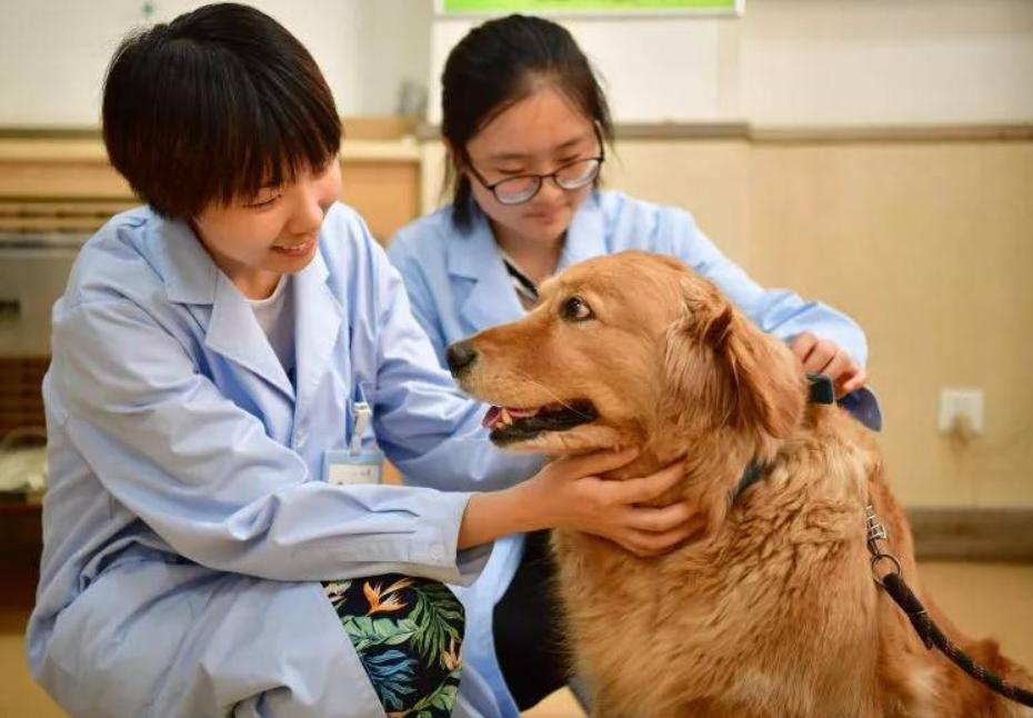 高考300多分上什么专科好就业,高考分数低怎么选大专专业