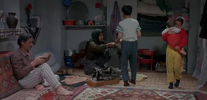 苦难教育视频,苦难教育愧疚教育