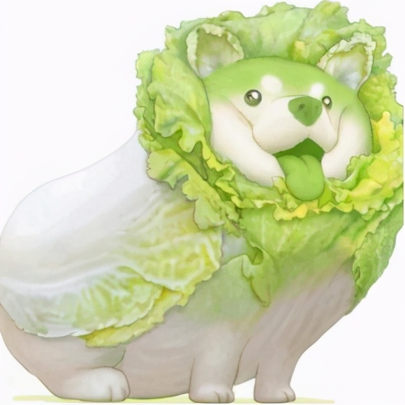 别骗自己了你真的会被骗吗,别骗自己了