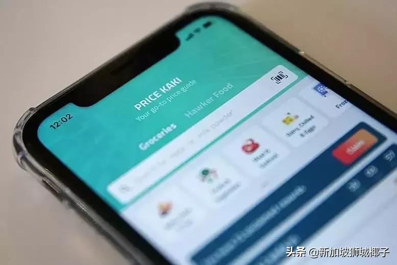 新加坡用什么软件买东西,新加坡便宜实惠的购物平台有哪些