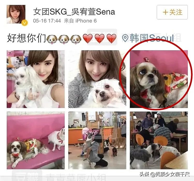 张萌和张檬最后一模一样吗,张萌和张檬你更中意谁呢