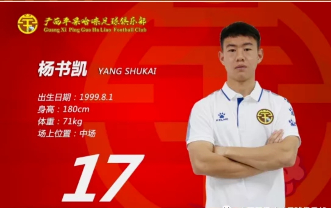 苹果队足球,平果足球队是职业球队吗