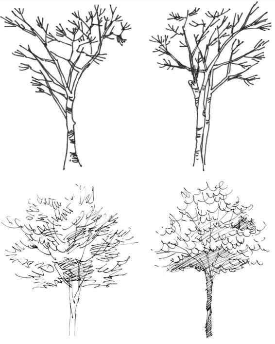 2022零基础速写教学一起画,新手速写画零基础教程步骤图