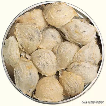 燕窝和可以吃的燕窝有什么区别,燕窝和燕窝有什么区别