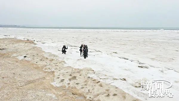 壮观的北极峡湾,壮观冰雪世界