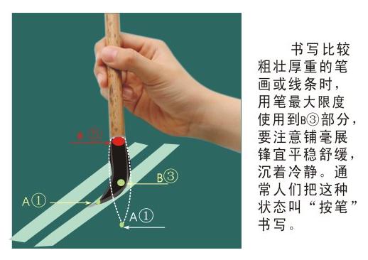 转字毛笔写法教学,初学毛笔握笔正确姿势有几种